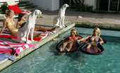 Sapphic Erotica Andi Stella Vicki And Sam11 293812 Four Sultry Hotties Shed Bikinis And Have Sex In The Pool
