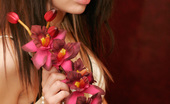 Kaira 18 Ihawt 299877 Stunning Non-Nude Photos Of Fresh 18yo Beauty!
