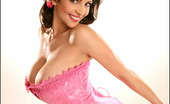 Pinup Files 305716 Denise Milani Vol07 Set01 Classy Vintage Babe Denise Teasing In Pink Corset
