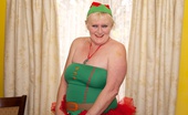 TAC Amateurs Santa'S Little Helper 314997 Hi Guys, Not Long To Go Now Till Christmas And Im Here In The North Pole Working As An Elf In Santas Toy Factory, But I
