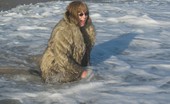 TAC Amateurs Wet Fur Coat 317680 One Of My Members Had Asked If I Could Do A Set With My Fur Coat On In A Lake Or River, Well The Beach Was A Good Place

