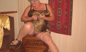 TAC Amateurs Leopard Print & Gold 318202 Mmm Sexy Girdlegoddess Is Here For You Baby.Making Your Cock Throb, As You Dream Of Sliding Your Member Deep Inbetween T
