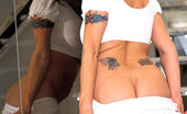 New Sensations Chloe 322810 Tattood Vixen Strips Down Rides Sybian
