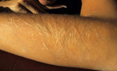 Hairy Arms 326749 Lori Andersons 2 Inches Arm Hair
