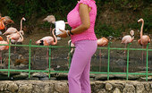 Vanessa Del 327585 Feeding The Flamingos At The Zoo!
