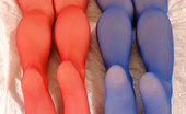 Hot Legs and Feet Leda & Vanda 328675 Hot Babes Leda & Vanda Rolling Around In Colorful Nylons
