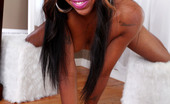 Top Web Models Moni Bella 331205 Ebony Babe Moni Bella POV Blowjob
