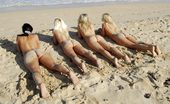 Bikini Pleasure 335519 