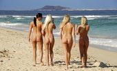 Bikini Pleasure 335519 