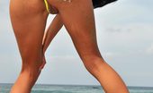 Bikini Pleasure 335616 