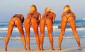 Bikini Pleasure 335687 