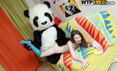 Panda Fuck Nicki 340830 Hot Fun Fucking With Panda Bar

