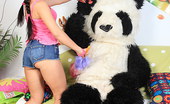 Panda Fuck Danaya 340847 Sexy Brunette Sucks And Gets Anal From A Panda Sex Toy

