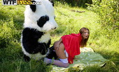 Panda Fuck Madelyn 340851 Little Red Riding Hood Gets Fucked By A Big Panda Sex Toy
