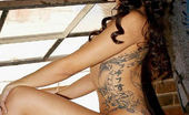 Natalia Cruze 340932 Solo Tattood Beauty Shows Her Wet Pussy
