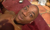 Bubble Butt Orgy Booty Pumpin Orgy 341425 Lots Of Booty Pumpin Orgy
