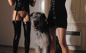 House Of Taboo Luisa De Marco & Renata G. 341736 Young Kinky Babes Luisa De Marco &Amp; Renata G In Hot Latexwear
