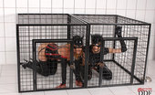 House Of Taboo Kathia Nobili & Liz 342010 Nick Lang Cages 2 Sexy Kitty Cats Kathia And Nobili At Home
