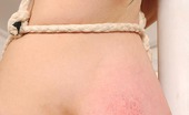 House Of Taboo Carol & Vanessa Mistress Carol Spanks & Bites Slave Vanessa'S 34DD Knockers
