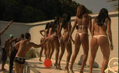 Brazil Bang Brazilian Ass Fest 343549 Brown Booties Bumpin On The Pool