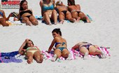 Upskirt Collection
 345201 Real bikini heat of naughty amateurs