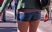 Upskirt Collection
 345590 Girls waving the tight shorts asses