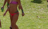 Upskirt Collection
 345802 Horny poses taken by bikini models