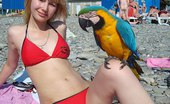 Upskirt Collection
 345860 Sexy bikini teens agreed to pose on camera