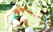 Upskirt Collection
 346040 The very best girlfriend upskirts