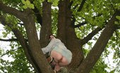 Upskirt Collection
 Doll in skirt climbs up the tree and has her cunt bared