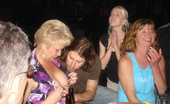 Real Tampa Swingers April Members Bar Meet And Greet 348754 Our Real Tampa Swingers Monthly Bar Meet And Greet
