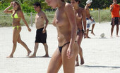 Bikini Dream Bikini Girls 363676 Miami Beach Girls
