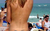 Bikini Dream Bikini Girls 363679 Miami Beach Girls
