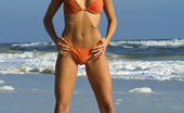 Bikini Dream Lindsay Schoneweis 363702 Lindsay Schoneweis At The Beach
