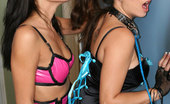 Glamour Models Gone Bad Cassidey & Bailey Brooks 364194 Hot Girl On Girl Sexual Domination Action
