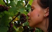 18 Stream Branislava & Aleksej 388277 An Innocent Walk In The Vineyard, Starts With Grape Picking For These Two Teens, But It Isn`T Long Before She Has A Prick Attacking The Pink Cherry Between Her Legs.
