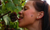18 Stream Branislava & Aleksej 388279 An Innocent Walk In The Vineyard, Starts With Grape Picking For These Two Teens, But It Isn`T Long Before She Has A Prick Attacking The Pink Cherry Between Her Legs.
