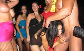 Teen Girlfriends 392835 Drunken GFs Get Slutty When They See Hard Cock
