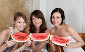 Teen Porn Storage Diana & Sally & Beata Juicy Lesbian Party 395819 Sweet Girls Three Teen Cuties Get Nude And Eat Some Watermelon Covering Their Hot Bodies With Juice.
