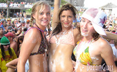 Miami Beach Party 404743 These Bad Girls Can'T Wait To Get Naked! See Them Party And Let It All Hang Out On Spring Break!
