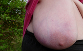 Divine Breasts 412461 Tracy Big Boobs Park Flasher
