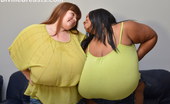 Divine Breasts 412803 Cotton Big Boobs Udder Bliss

