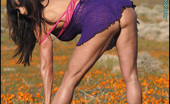 Muscularity Elissa Neal 419292 Purple In Poppies Here Elissa Has Fun Popping Out Of Her Purple Lingerie, And Pink Bra And Panty Set. It'S Almost As If She Can'T Contain Her Voluptuous Breasts Within Her Clothing, As They Keep Popping Out To Play With The Poppies.
