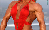 Muscularity Tina Chandler 419303 Olympian Poses I Shot Tina Right After She Competed In The Olympia Competition In Vegas, So She Is In Great Shape, With Every Massive Muscle Popping Right Out Of The Picture. It Was A Cold, Foggy Day In Santa Monica, But Tina Heats It Up In A Sexy Red Out