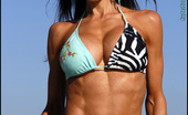 Muscularity Lupita Moreno 419316 Zebra Hot I Had The Good Fortune Of Meeting Lupita Backstage At An NPC Competition In Culver City. We Shot In Malibu Where She Shows Off Her Amazing Body And Perfect Abs In A Zebra Print Bikini. Hot Mama, Literally.
