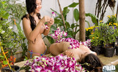 Thai Chix 422716 Thai Emiko And Soda Nude In The Garden
