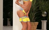In Focus Girls 437024 Jessy Penetrating Pink Busty Blonde Minx Strips And Lustily Dildos Shaved Pussy
