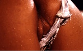 Indian Pleasure 438628 Zebra
