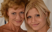 Old Young Lesbian Love 440061 Kitty Rich Old Cunt Young Pussy Kitty And Katherin Put Together Everything They Have Namely Their Pussies. Although They Only Met In Front Of Our Cameras They Find Each Other Attractive Apparently. And We All Know That Chemistry Makes Wonder. Soon They Fo