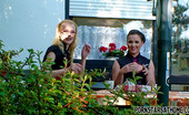 Pornstars At Home 440126 Kristina Sz Teenage Cuties Pleasuring A Stiff Boner On A Bench Outdoors
